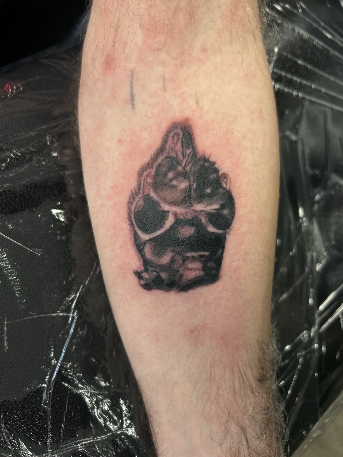 Animal portrait in sunglasses tattoo on the forearm
