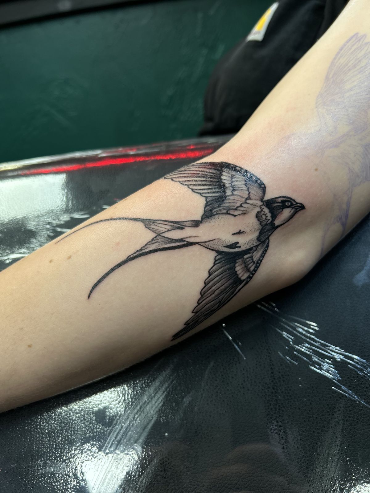 Single black and grey swallow tattooed on the forearm